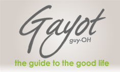 Gayot reviews website