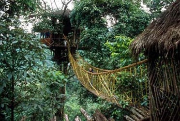 A treehouse at Green Magic Treehouse Resort in Kerala, India