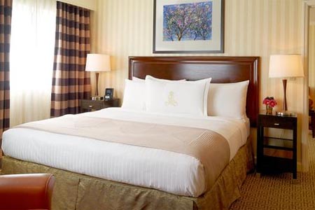 Room at Royal Sonesta Houston, Houston, TX Room at Royal Sonesta Houston, Houston, TX