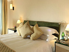 Room at Phoenix House London, London, GB Room at Phoenix House London, London, GB
