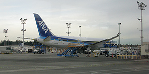 All Nippon Airways was the first carrier to begin flying the Dreamliner All Nippon Airways was the first carrier to begin flying the Dreamliner