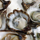 Oysters are on the menu and in the title of GT Fish & Oyster