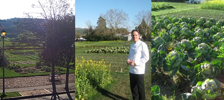 Keller created a three-acre garden just across the street from The French Laundry