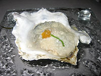 Oyster in ice gelée