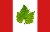 Will Québec Replace the Maple Leaf with a Vine Leaf?