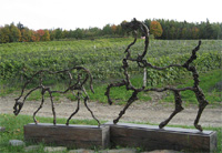 Statues in the vineyard at Domaine des Côtes d’Ardoise
