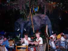 Dining room at Rainforest Cafe, Chicago, IL Dining room at Rainforest Cafe, Chicago, IL