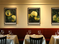 Dining room at THIS RESTAURANT HAS CHANGED LOCATIONS Quince, San Francisco, CA Dining room at THIS RESTAURANT HAS CHANGED LOCATIONS Quince, San Francisco, CA