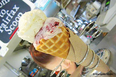 Fairfax Scoop, Fairfax, CA Fairfax Scoop, Fairfax, CA