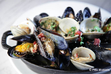 Flex Mussels, New York, NY Flex Mussels, New York, NY
