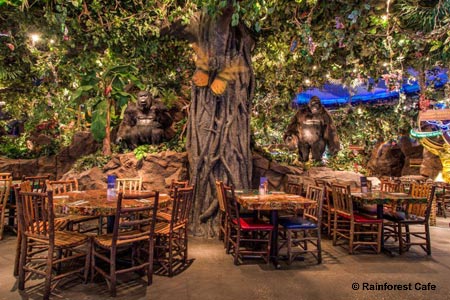 Rainforest Cafe, Las Vegas, NV Rainforest Cafe, Las Vegas, NV