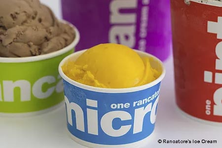 Rancatore's Ice Cream & Yogurt, Belmont, MA