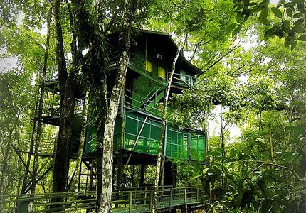 One of the tree houses at Ariau Amazon Towers Hotel One of the tree houses at Ariau Amazon Towers Hotel