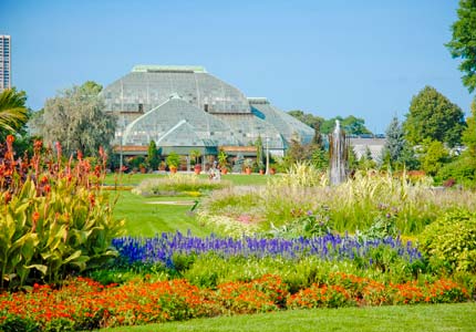 The beautiful Lincoln Park Conservatory in Chicago The beautiful Lincoln Park Conservatory in Chicago