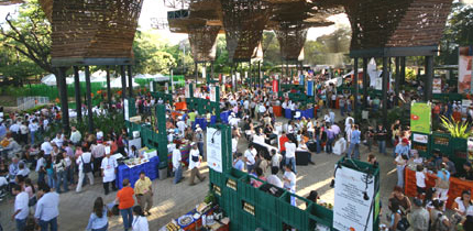Festival Attendees