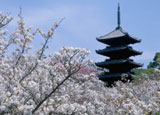 Experience the sights, sounds, smells and tastes of Kyoto, Japan with our 72-hour travel guide Experience the sights, sounds, smells and tastes of Kyoto, Japan with our 72-hour travel guide