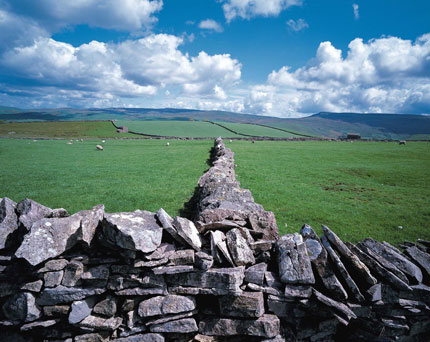 Landscape of The Dales