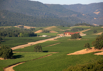 The vineyard of Halter Ranch Winery in Paso Robles, California spans across 280 acres of land
