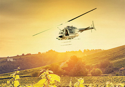 Paso Air Tours takes you on an unforgettable excursion of Paso Robles Wine Country