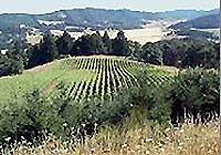 Willamette Valley, Oregon Willamette Valley