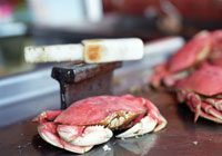The Dungeness crab, a San Francisco favorite