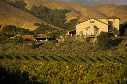 Gloria Ferrer Winery