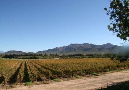 South Africa's Route 62, one of GAYOT's Top 10 Wine Routes in the World