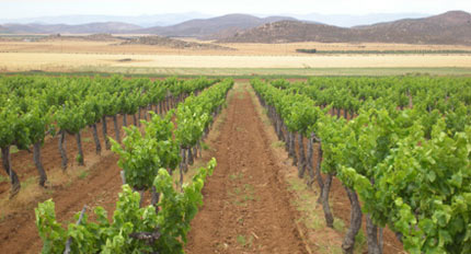 Tres Valles winery in Baja California, Mexico