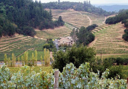 Pine Ridge Winery in Napa Valley planted their first vineyard on a steeply terraced hillside
