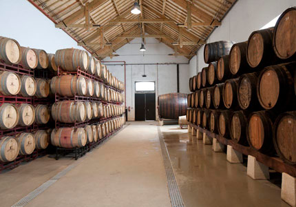 Barrels of Esporão wine at their vineyard in Portugal