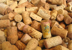 Cork is sustainable and biodegradable