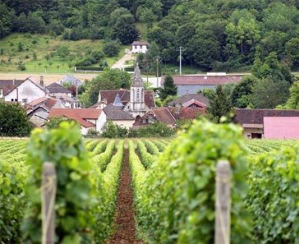 Wine country in the Champagne-Ardenne region, now designated a UNESCO World Heritage Site