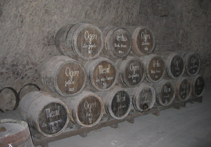 GAYOT's Champagne and sparkling wine guides will keep you in the know about all things sparkling GAYOT's Champagne and sparkling wine guides will keep you in the know about all things sparkling (photo via Flickr user stvan4245)