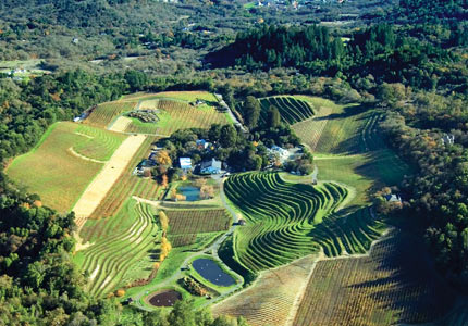 Aerial view of Benziger Family Winery, nestled in the Sonoma Mountains, 800 feet above sea level