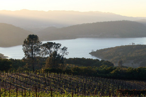 Chappellet's Pritchard Hill estate vineyards in Napa Valley, California