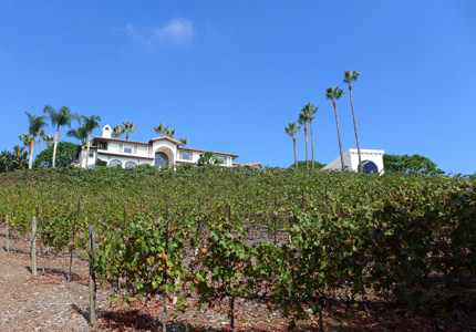 Dolin Malibu Estate Vineyards in Malibu, California