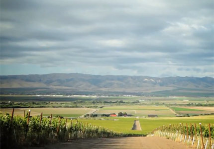 J. Lohr vineyards in Monterey County, California