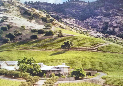 Shafer Vineyards in Napa Valley, California