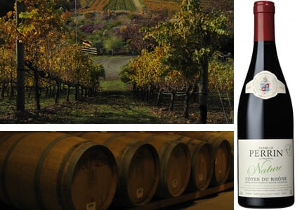 All of the wines on GAYOT's list of the Top 10 Organic Wines are made with grapes grown organically or biodynamically