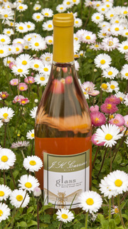 J.K. Carriere 2013 Willamette Valley White Pinot Noir boasts a floral bouquet with notes of lemon and lychee