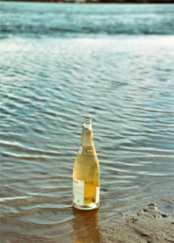 Take the edge off the heat with a selection from our Top 10 Summer Wines 2011