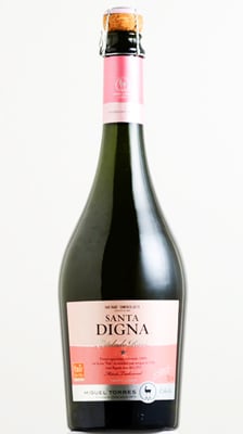 Santa Digna 2012 Estelado Rose is made in Chile from the Pais varietal