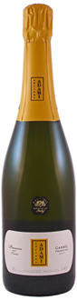 Adami Garbèl Brut Prosecco, one of our Top Value Wines