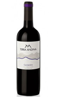 Terra Andina 2009 Carmenere, on our list of the Top Value Wines