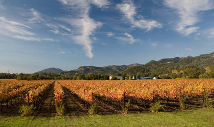 Benessere Vineyards in Napa Valley, CA