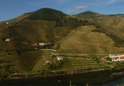 Quinta de la Rosa's vineyards on the Douro River near Pinhao