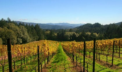 Schramsberg Vineyards in Calistoga, California