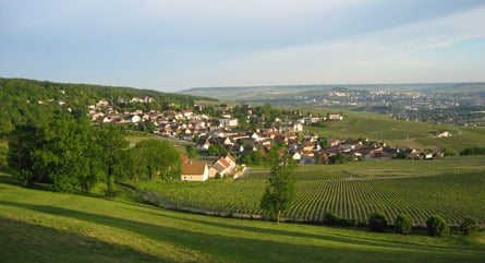A view from the Royal Champagne hotel in France's Champagne wine region