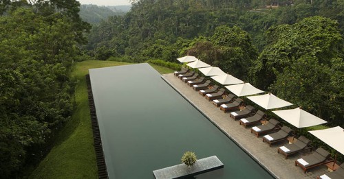 The pool at Alila Ubud in Bali