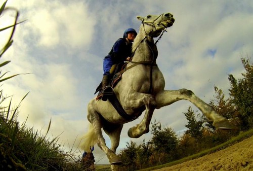 Jackdaws Castle racehorse training